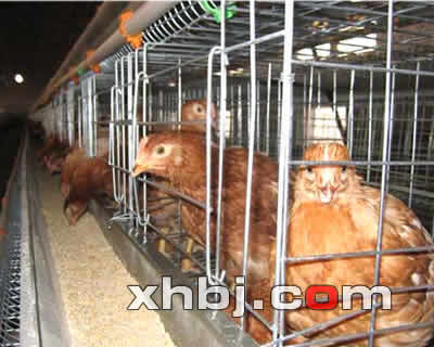 香河板金网提供生产390型半架四拉门鸡笼厂家